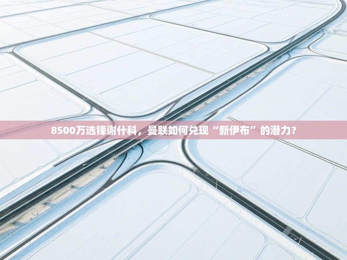 8500万选锋谢什科,曼联如何兑现“新伊布”的潜力? 第1张