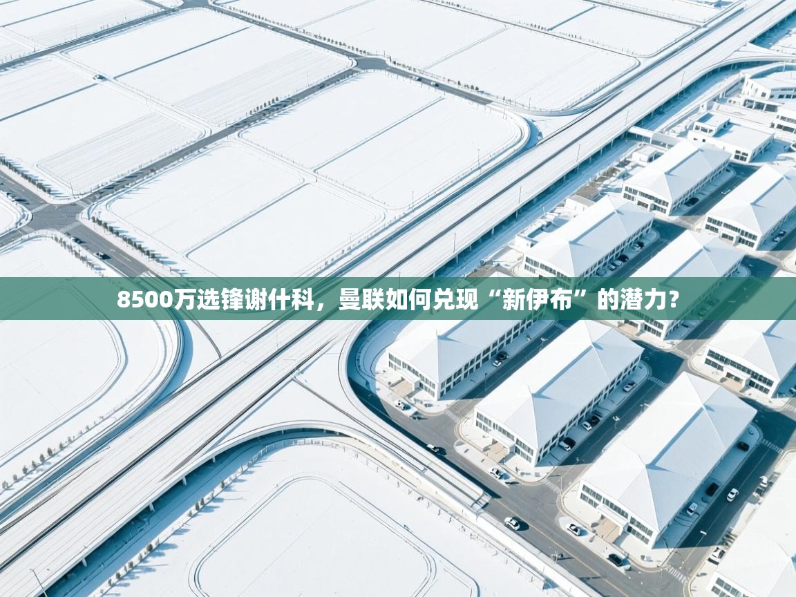 8500万选锋谢什科,曼联如何兑现“新伊布”的潜力? 第2张