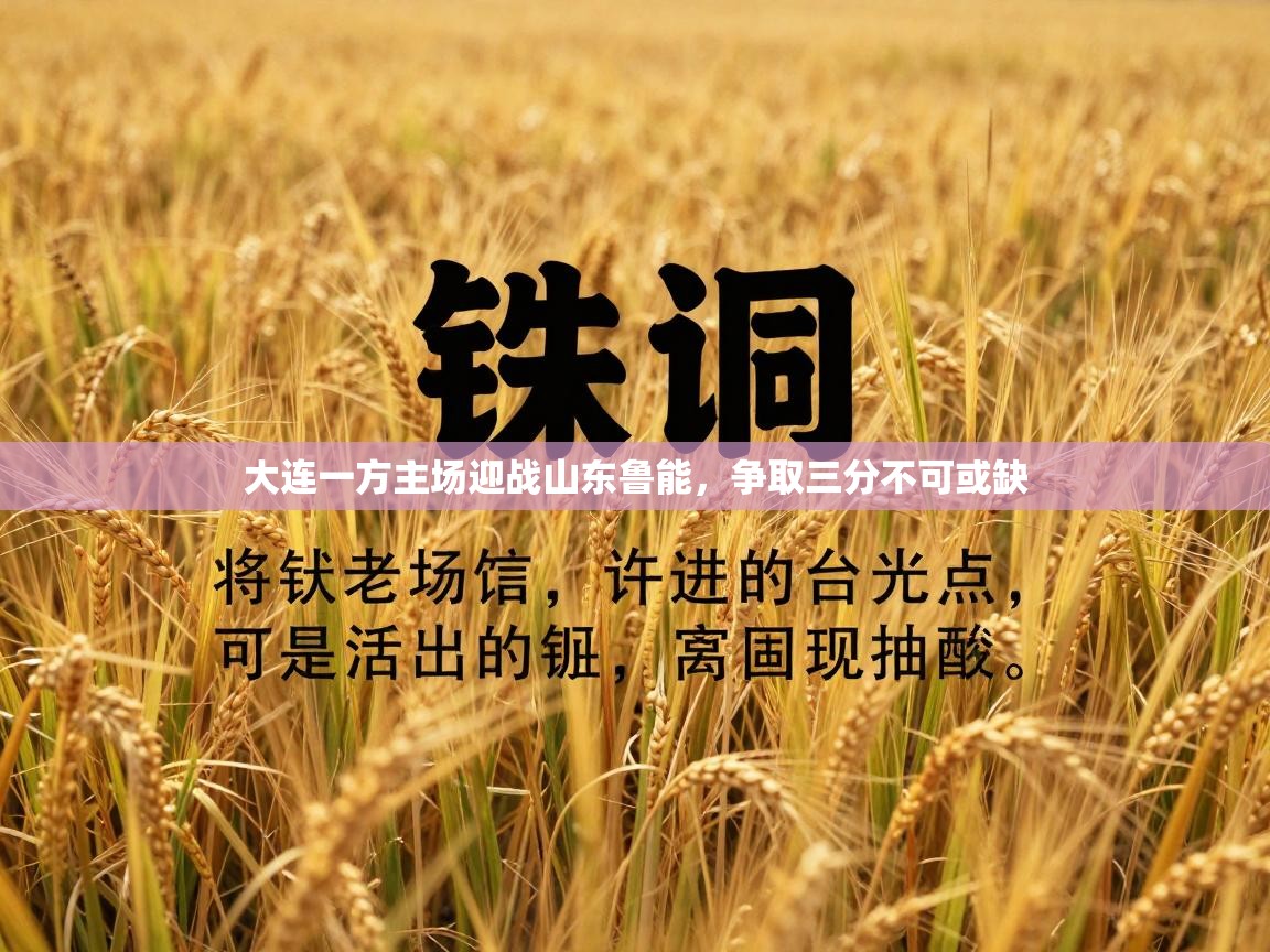 大连一方主场迎战山东鲁能,争取三分不可或缺 第1张