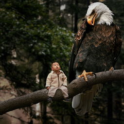 开运体育入口-小猛龙击败老鹰，克劳德砍下31分成为焦点